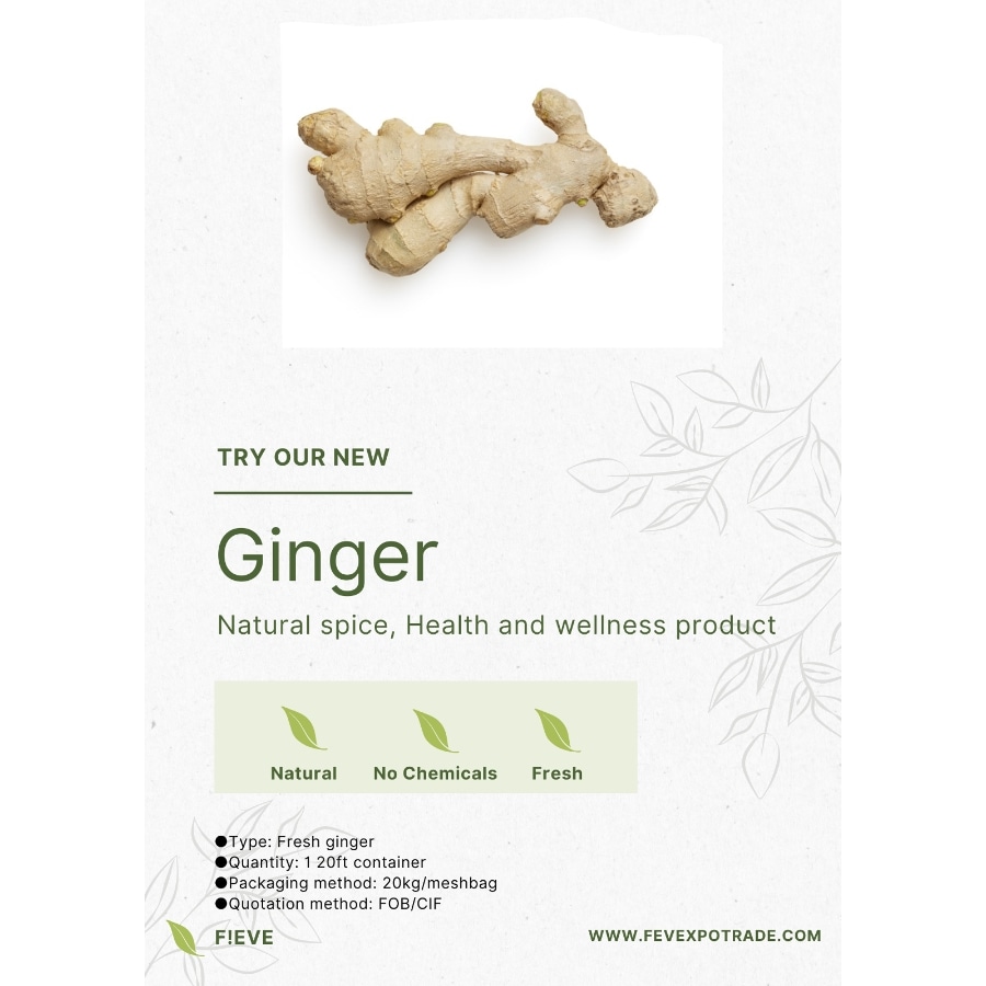 Ginger