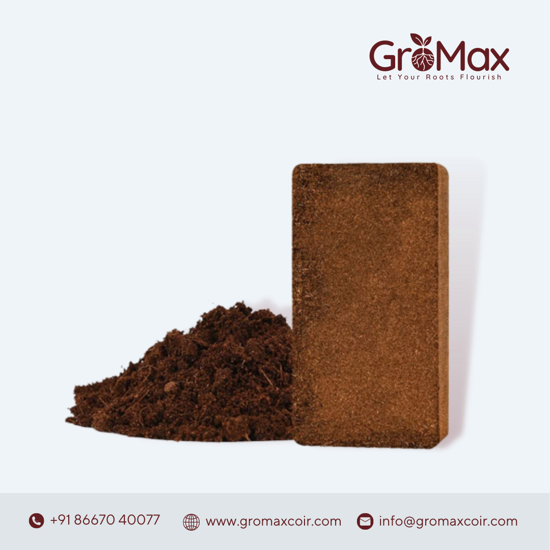 Coco Peat Bricks