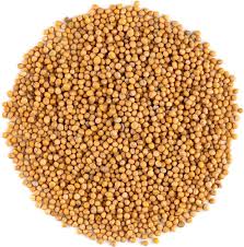 Fenugreek